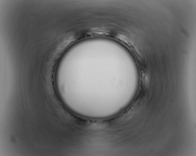 X0000116841393200912312045