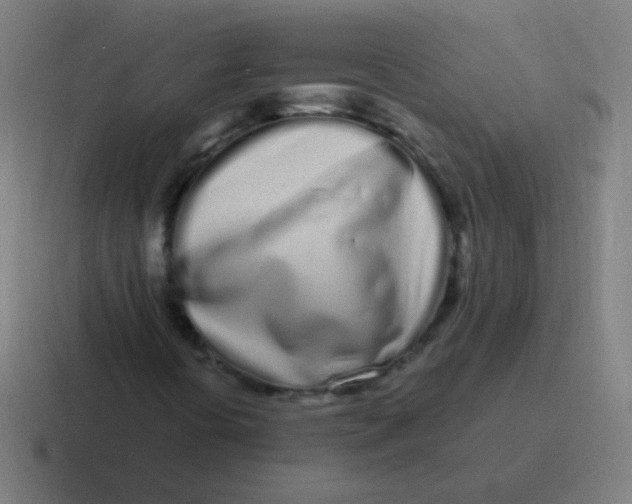 X0000116841394200912312045