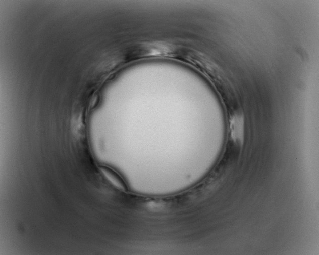 X0000116841395200912312045