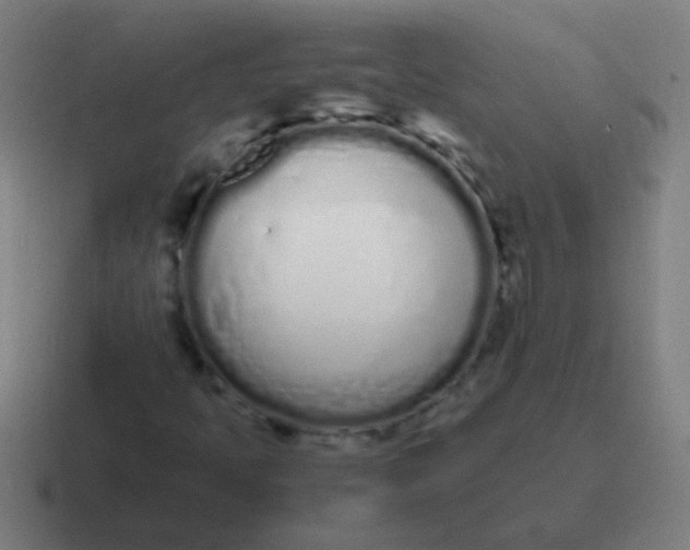 X0000116841397200912312045