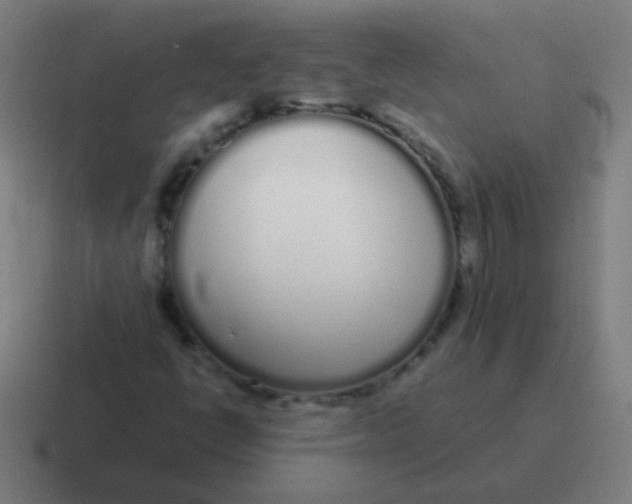 X0000116841398200912312045