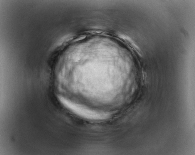 X0000116841399200912312045