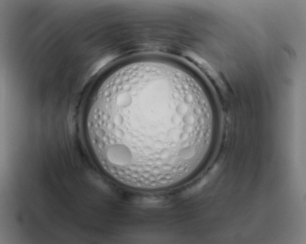 X0000116841401200912312045