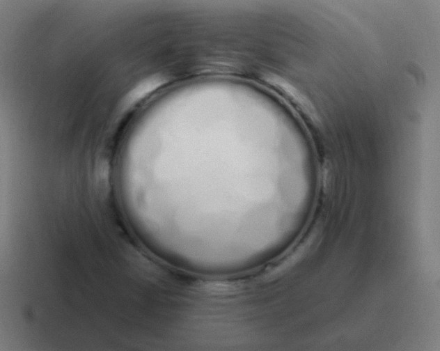 X0000116841402200912312045