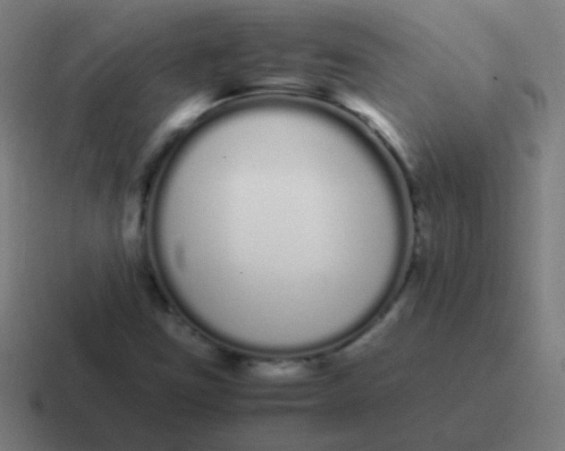 X0000116841403200912312045