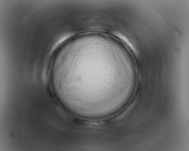 X0000116841405200912312045