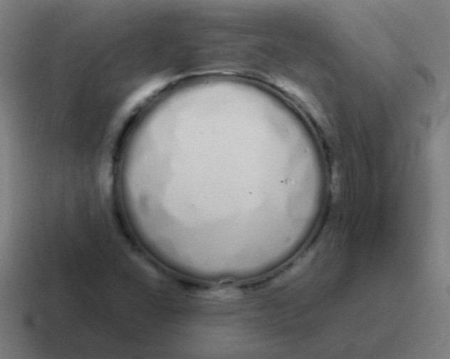 X0000116841406200912312045