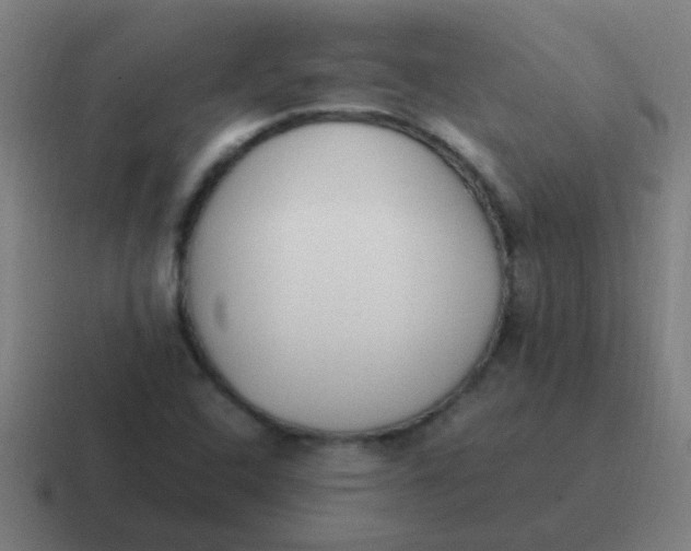 X0000116841408200912312045