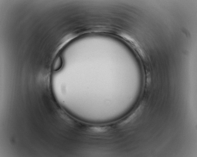 X0000116841409200912312045