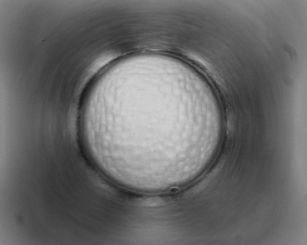 X0000116841410200912312045