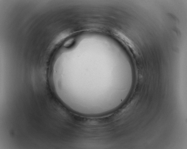 X0000116841411200912312046