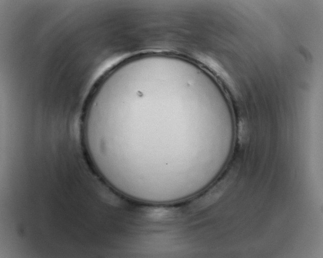 X0000116841412200912312046