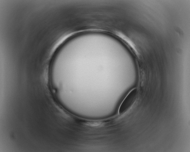 X0000116841415200912312046