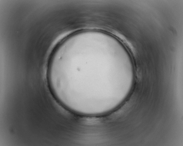 X0000116841416200912312046