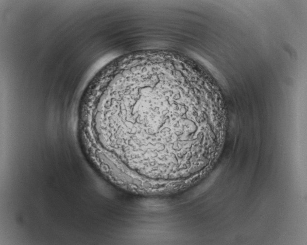 X0000116841418200912312046