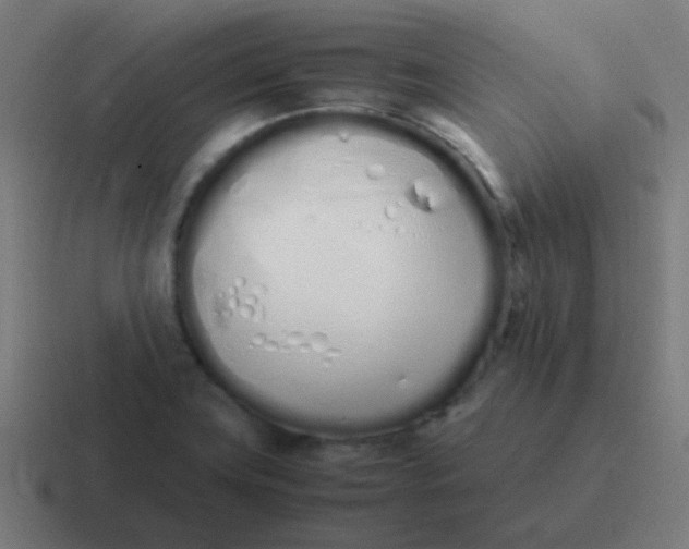 X0000116841419200912312046