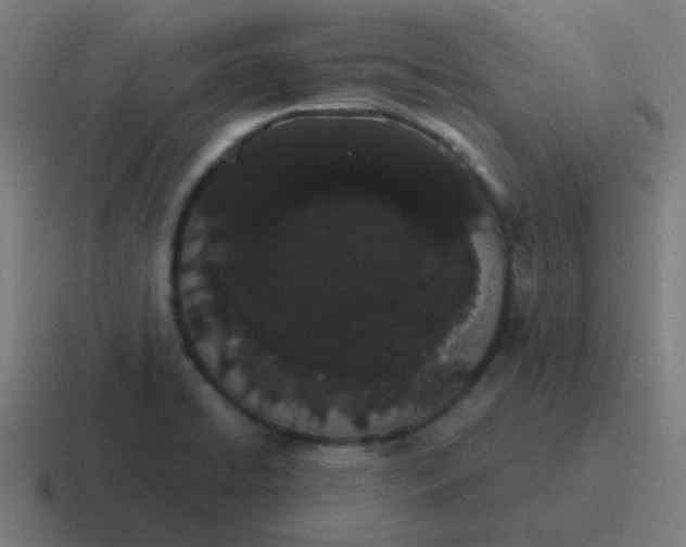 X0000116841422200912312046