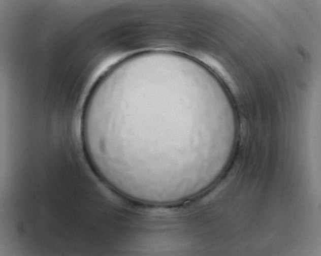 X0000116841424200912312046