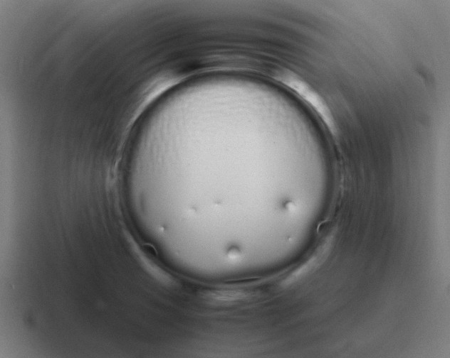 X0000116841425200912312046