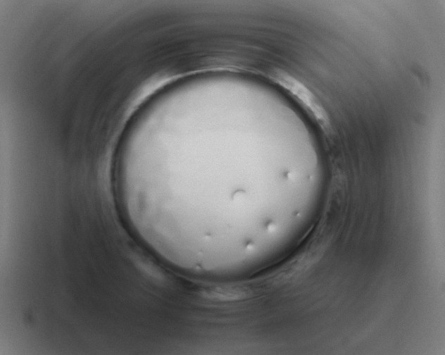 X0000116841427200912312046