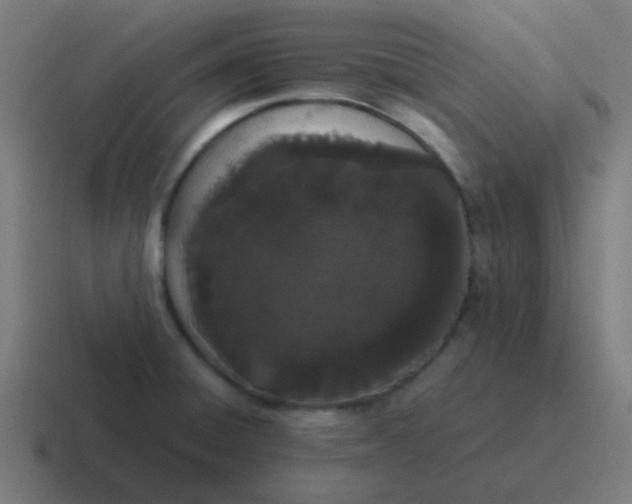 X0000116841428200912312046