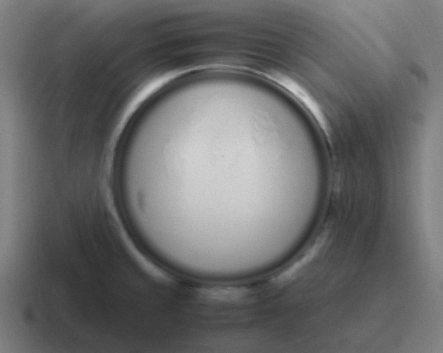 X0000116841429200912312046