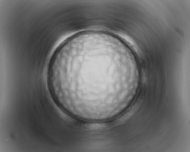 X0000116841430200912312046