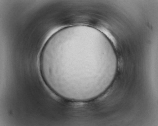 X0000116841431200912312046