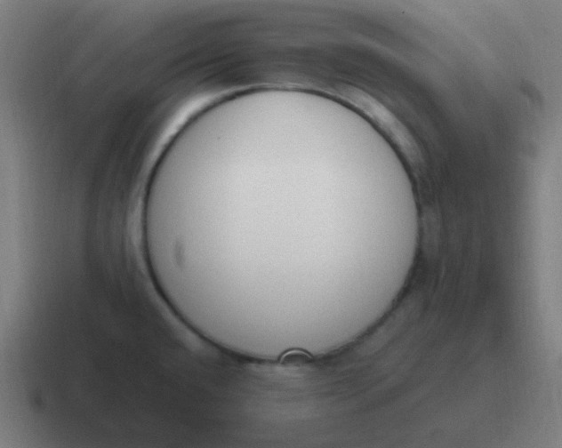 X0000116841432200912312046