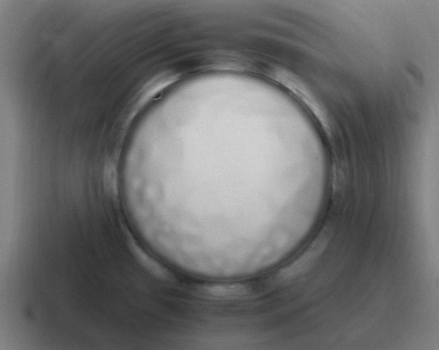 X0000116841433200912312046