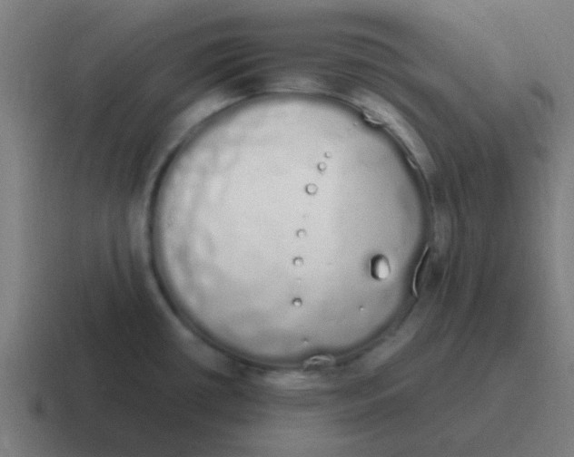 X0000116841434200912312046