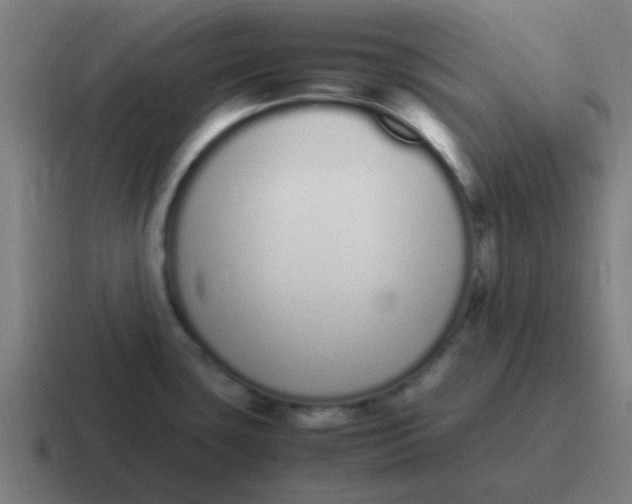 X0000116841435200912312046