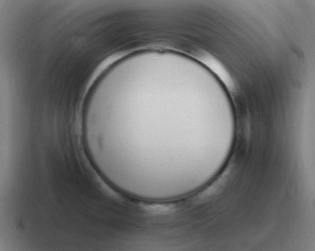 X0000116841436200912312046