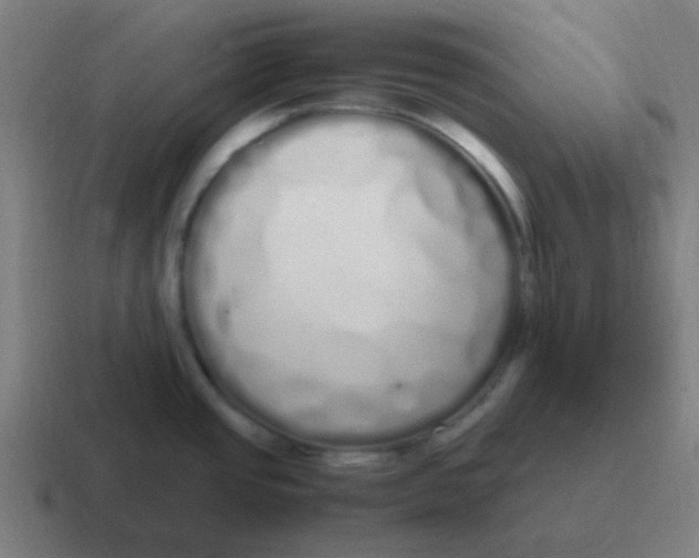 X0000116841437200912312046