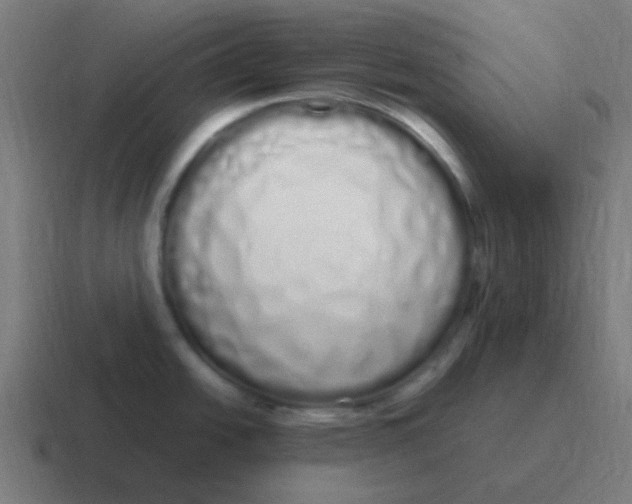 X0000116841438200912312046