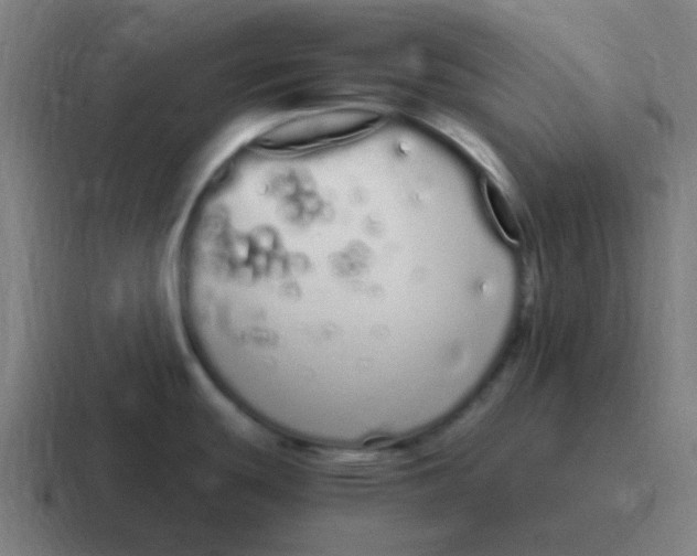 X0000116841439200912312046