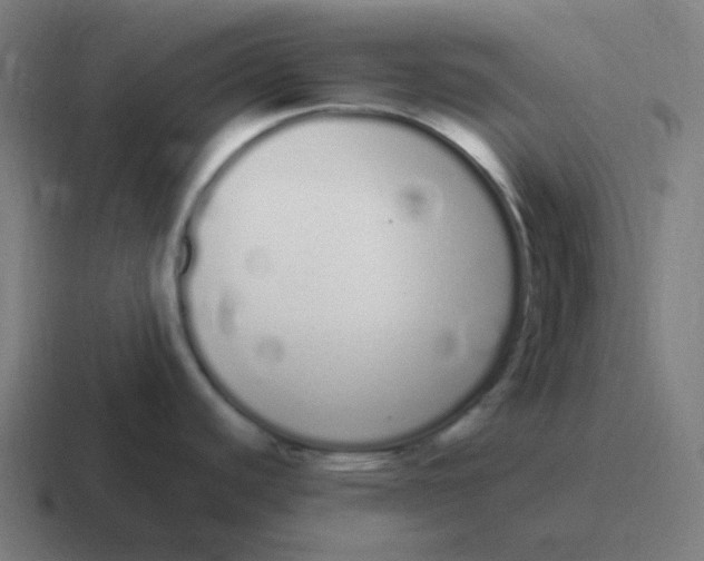 X0000116841440200912312046