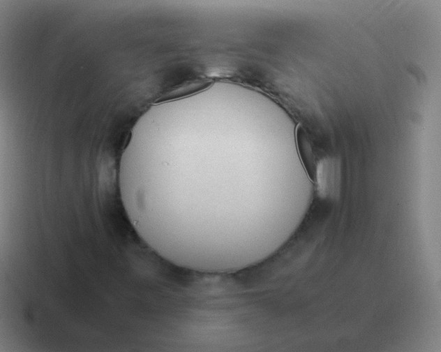 X0000116841443200912312045