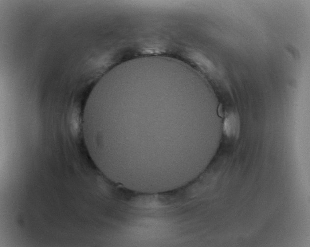 X0000116841444200912312045