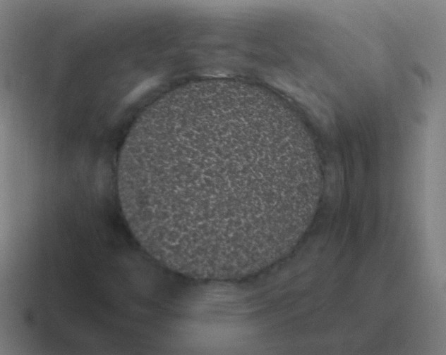 X0000116841446200912312045