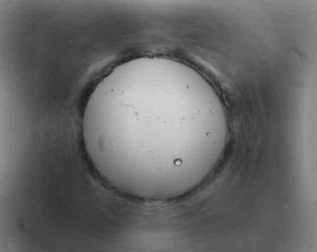 X0000116841447200912312045