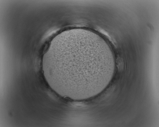 X0000116841448200912312045