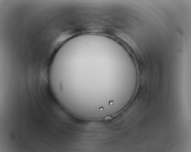 X0000116841451200912312045