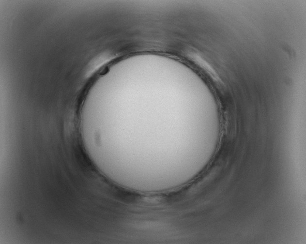 X0000116841453200912312045