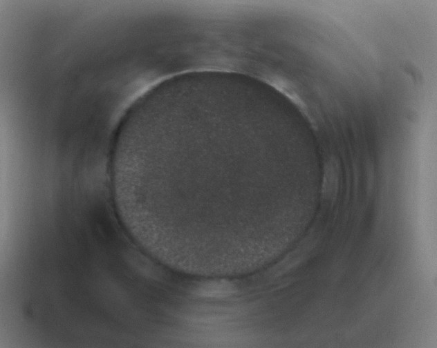 X0000116841454200912312045