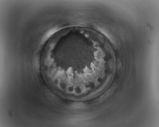 X0000116841455200912312045