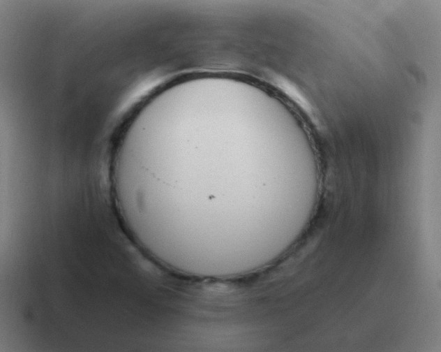 X0000116841456200912312045