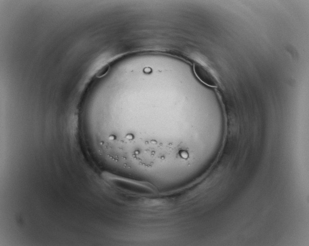 X0000116841459200912312045