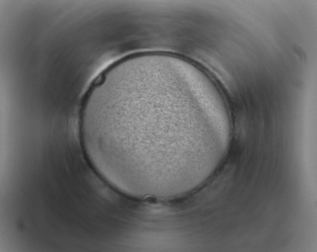 X0000116841460200912312045