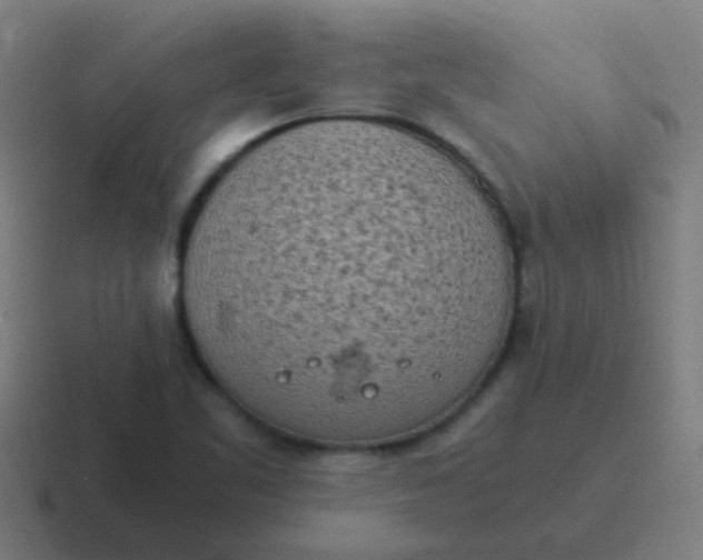 X0000116841461200912312045